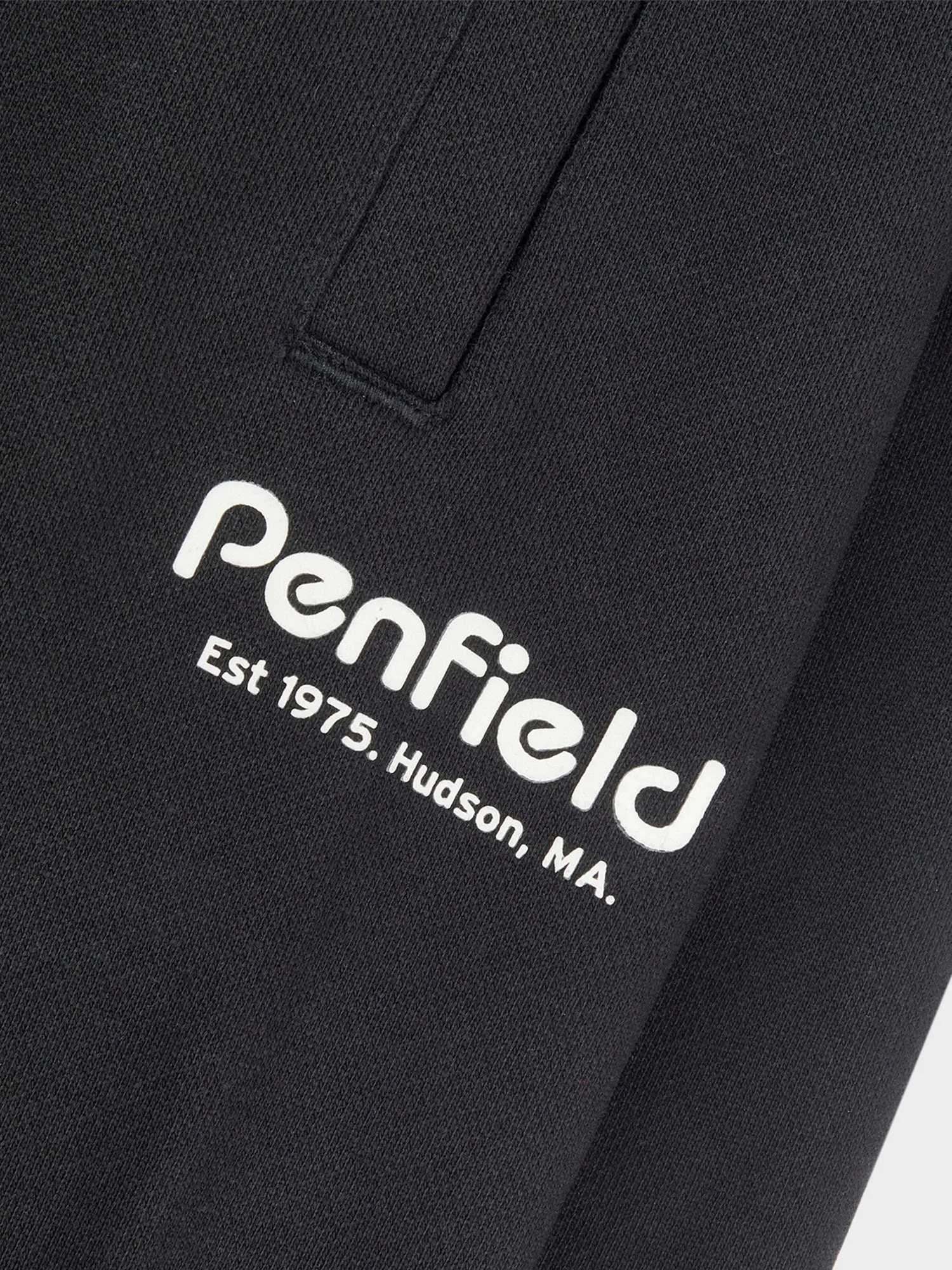 Hudson Script Sweatpants in Black