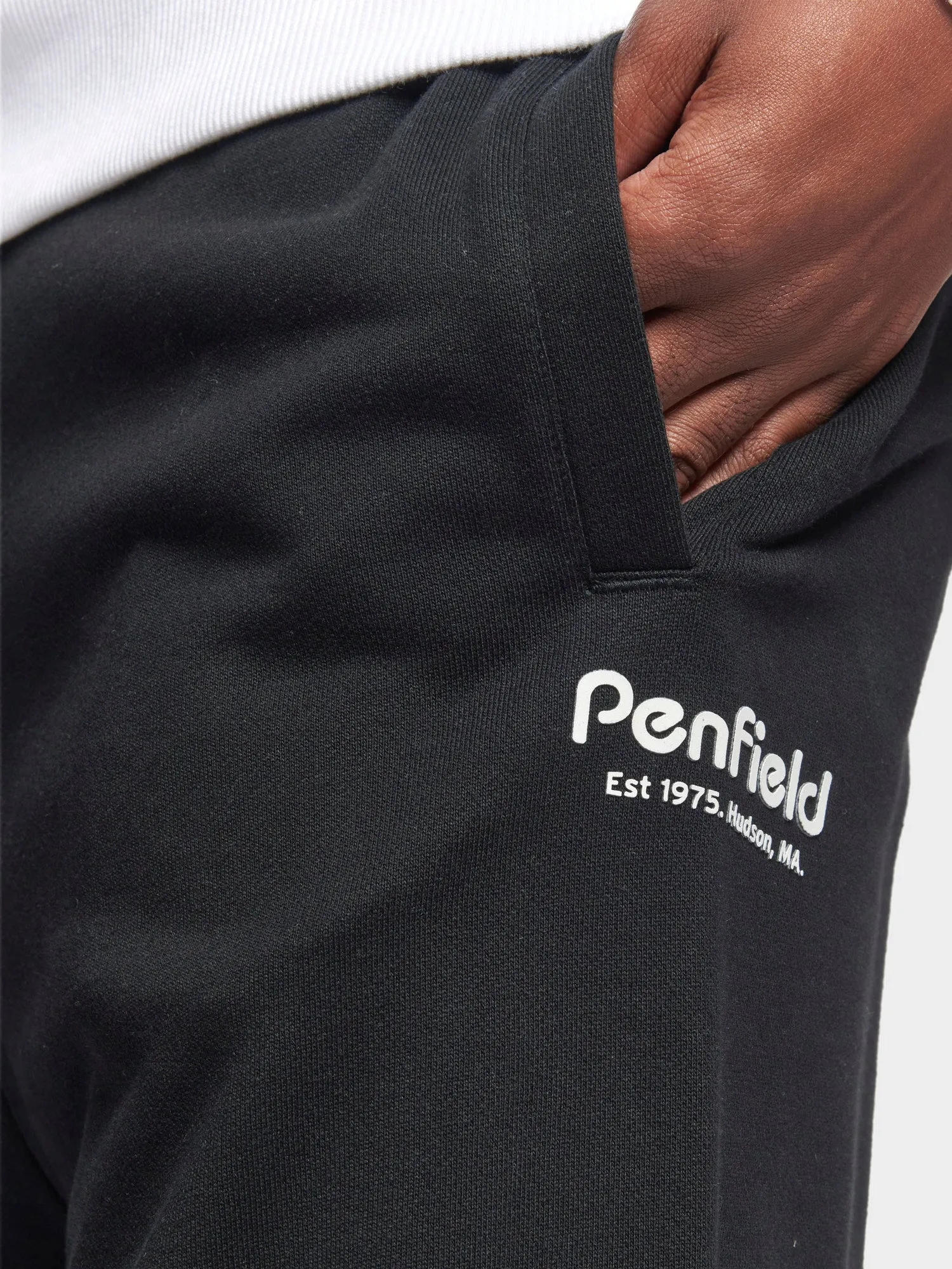 Hudson Script Sweatpants in Black