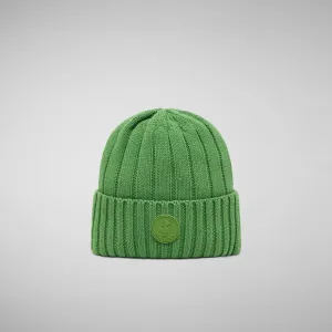 Unisex ribbed beanie jo in grass green